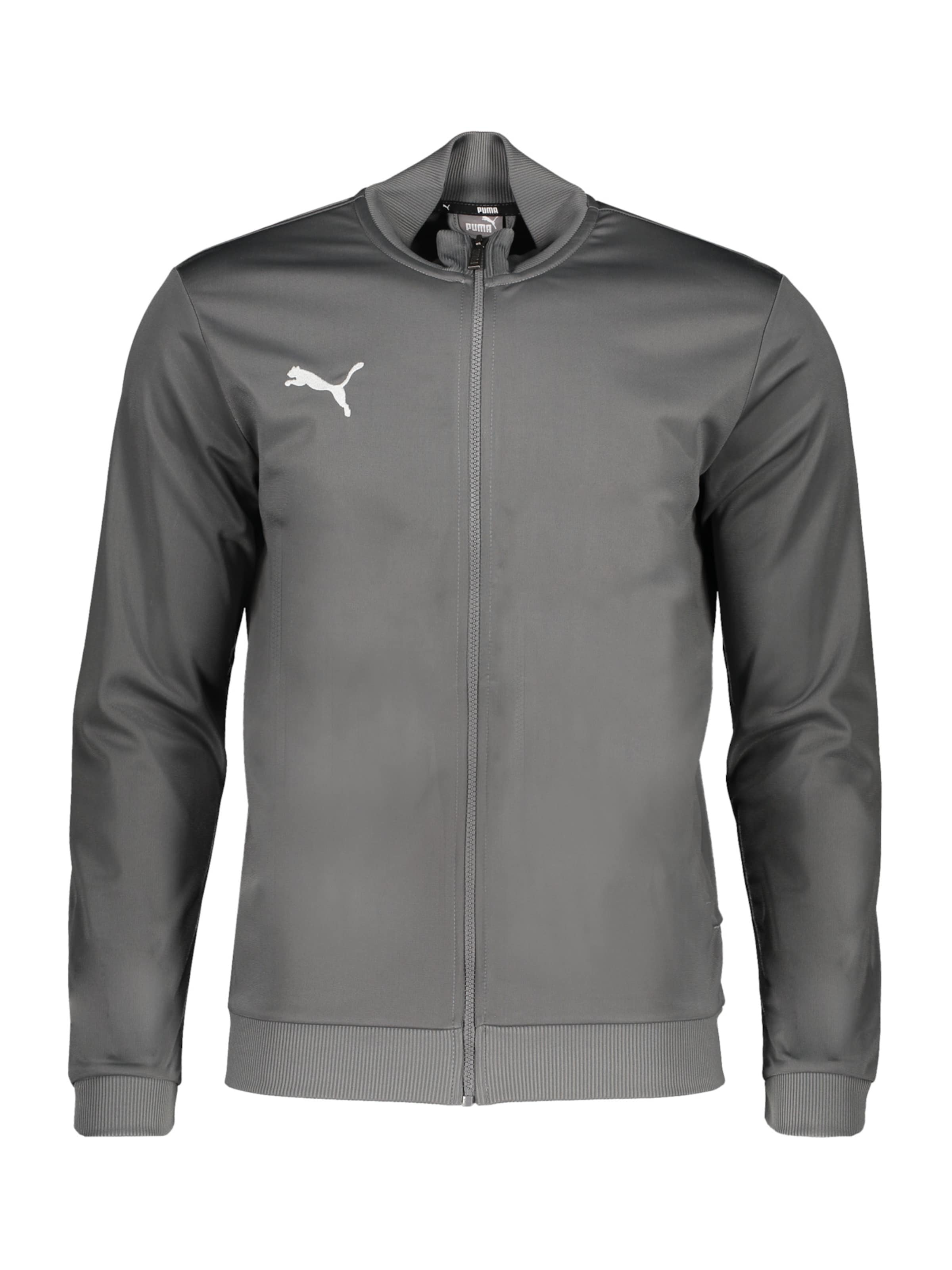 PUMA Sportsweatjacke 'Team Goal' in Grau: Vorderseite