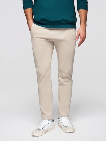 Ombre Regular Trousers 'OM-PABS-0304' in Grey: front