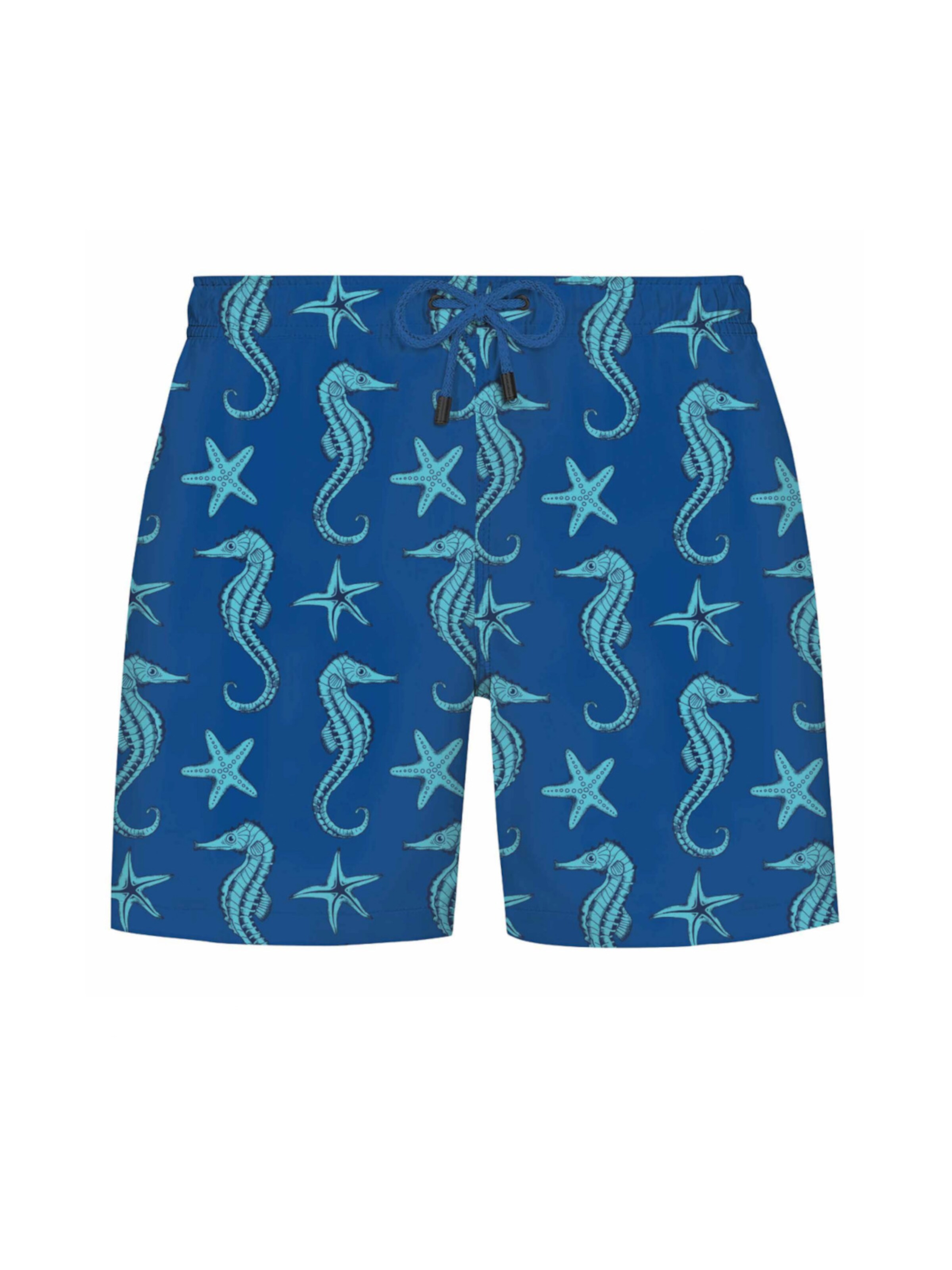 Shorts de bain WESTMARK LONDON en bleu : devant