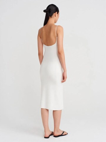 Dilvin Dress in White