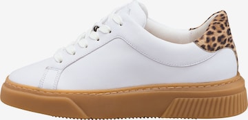 LLOYD Platform trainers 'Grace' in White: front