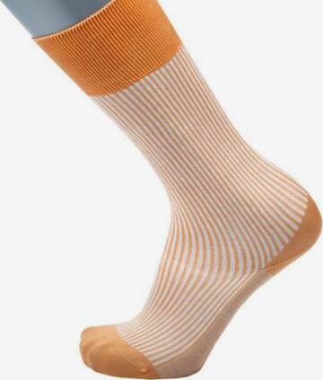 BGents Socks in Orange