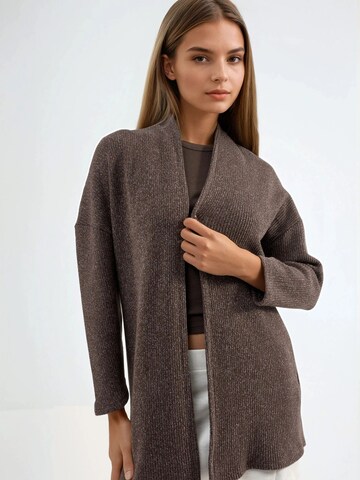 Busem Knit cardigan in Brown: front