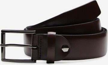 Digel Belt in Brown: front