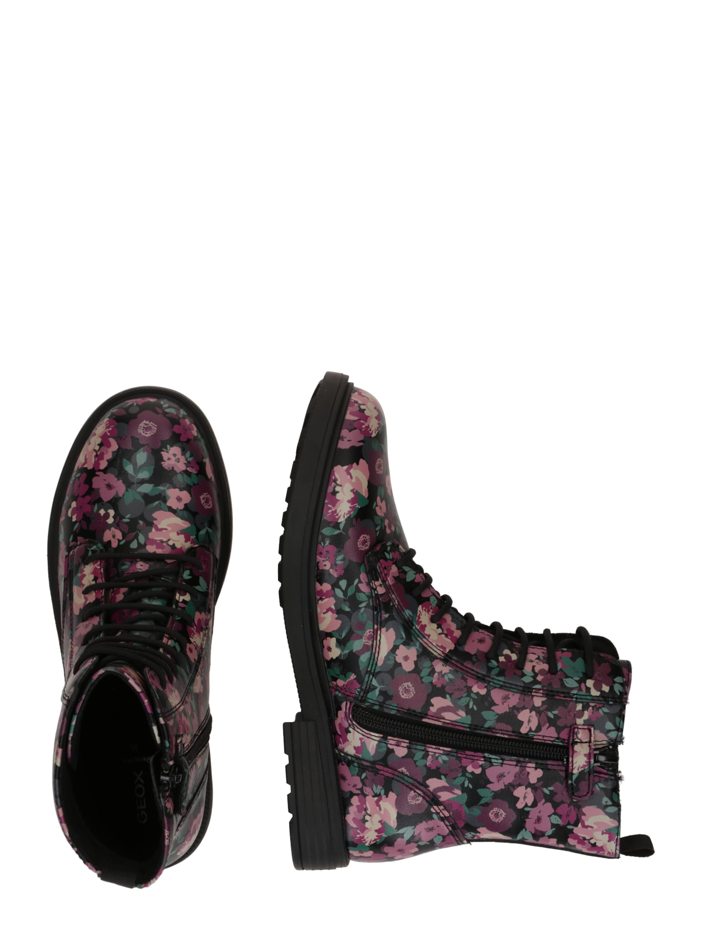 GEOX Сапоги 'Eclair' в Черный