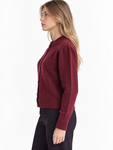 Viorna Knit cardigan 'Strickjacken' in Red