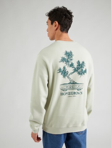 Iriedaily Sweatshirt 'Bonsigh' in Green: front