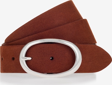 Ceinture VANZETTI en marron : devant