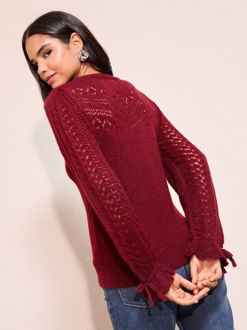 Friends Like These Sweater in Rot