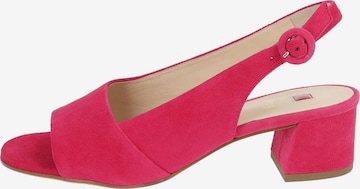Sandalo con cinturino di Högl in rosa