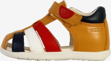 GEOX Offene Schuhe in Mischfarben: Vorderseite