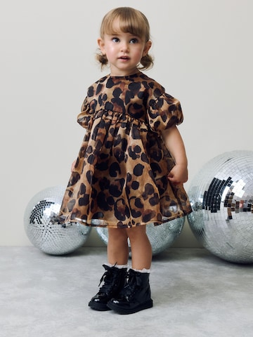 Robe Next en marron : devant