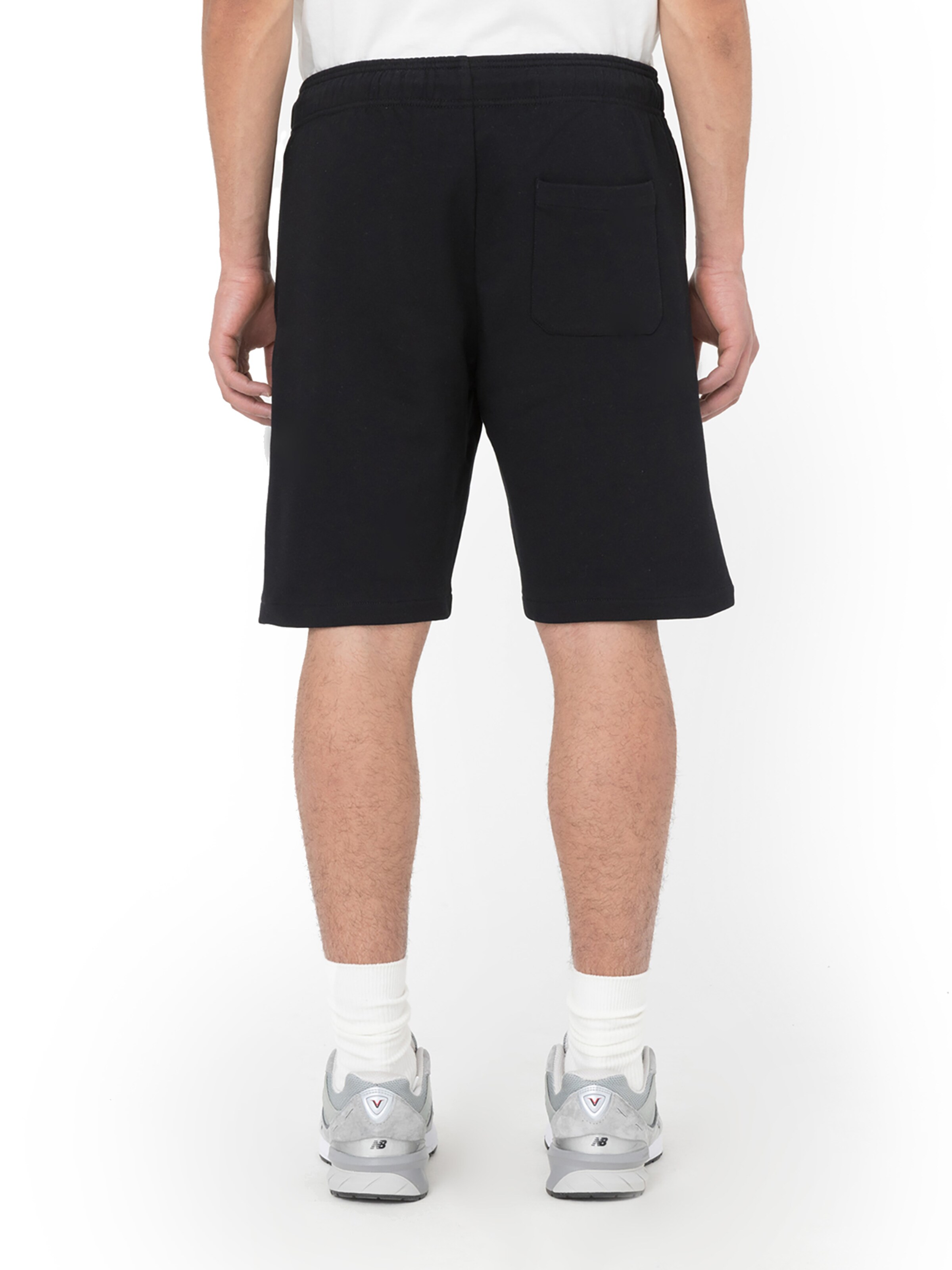 DICKIES Normalny krój Spodnie 'Mapleton' w kolorze czarny