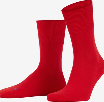 FALKE Socks 'Run' in Red: front