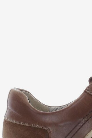 LLOYD Flats & Loafers in 45,5 in Brown