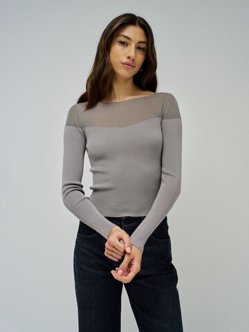 Salsa Jeans Pullover 'Transparenzl' in Grau: Vorderseite