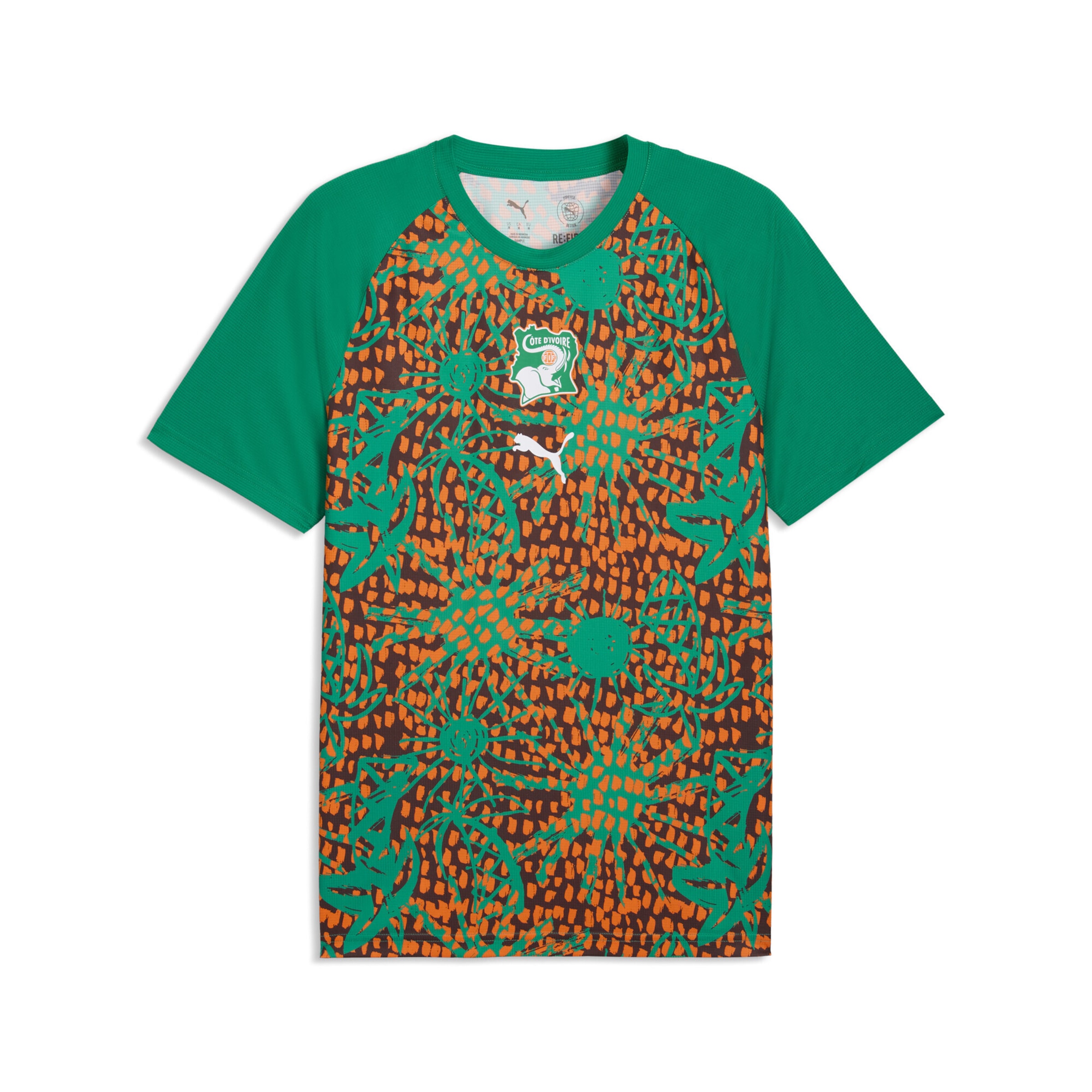 PUMA Tricot 'Elfenbeinküste' in Groen: voorkant