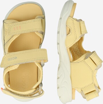 ECCO Sandal 'ECCO BIOM RAFT' i gul