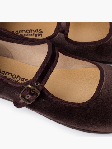 Pisamonas Polobotky – hnědá