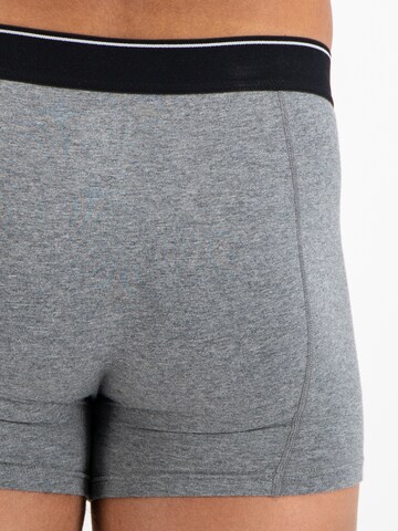 Shiwi - regular Calzoncillo boxer 'Solid' en gris