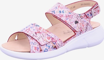 Finn Comfort Sandale 'NADI' in Pink: Vorderseite