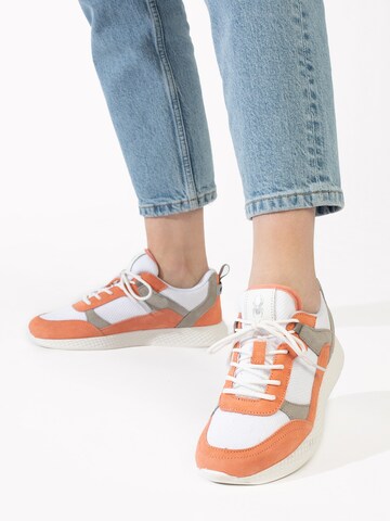 Sneaker bassa di Spyder in arancione: frontale