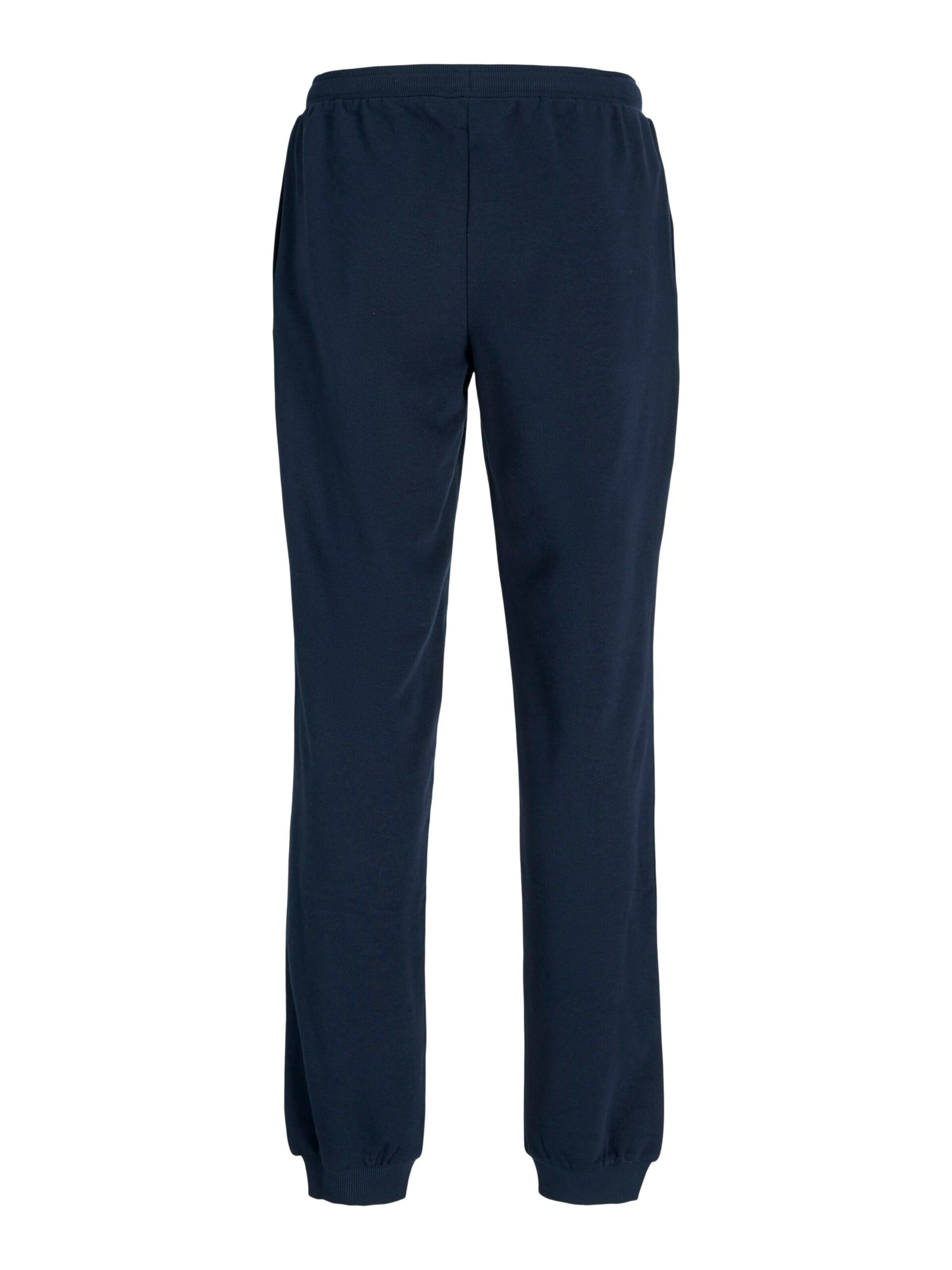 JACK & JONES Regular Trousers in Blue