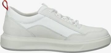 Baskets basses FRETZ MEN en blanc