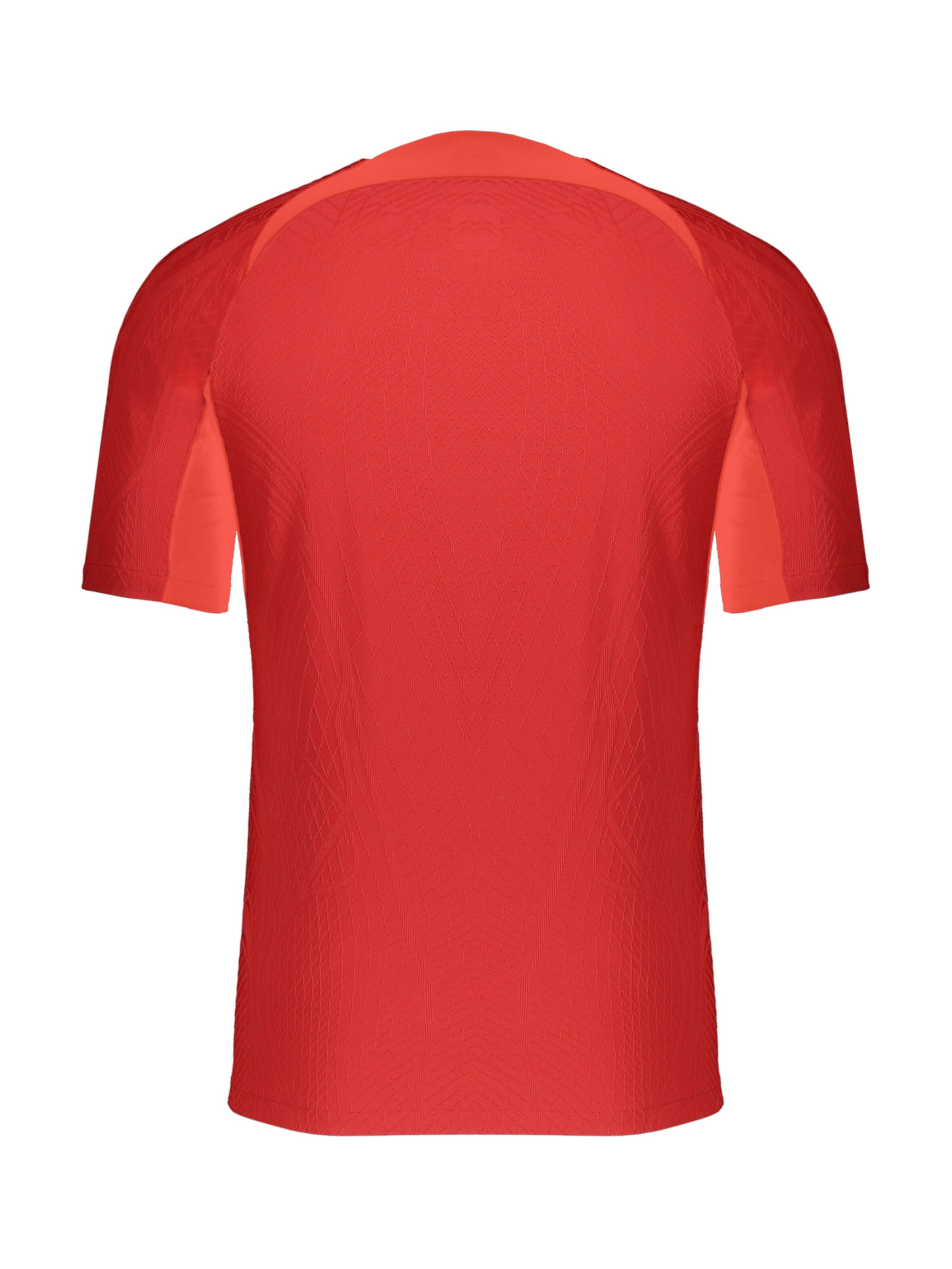 NIKE Trikot 'DF ADV Vapor IV' in Rot