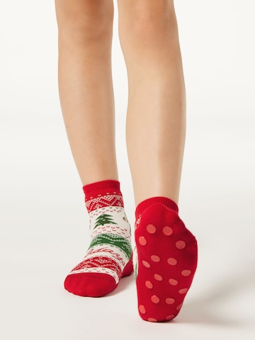CALZEDONIA Socks in Red: front