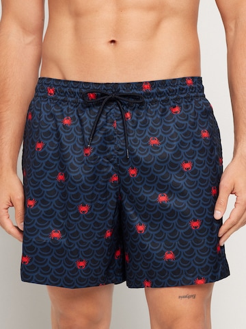 Tezenis Board Shorts in Blue: front