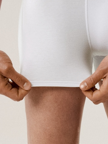 Atlantic Boxer shorts 'ATLANTIC' in White