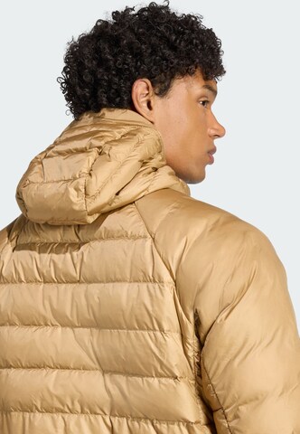 Veste outdoor 'Xperior' ADIDAS TERREX en marron