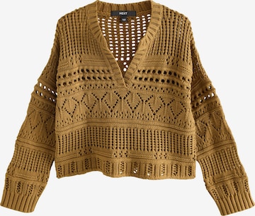 Next Sweater in Green: front