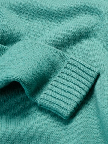 Seasalt Cornwall Trui 'Braque' in Groen