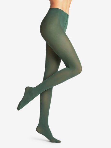 Collants FALKE en vert : devant