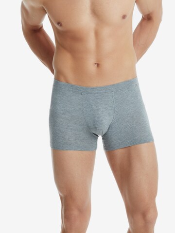 Blackspade Boxer shorts ' Silver ' in Grey: front