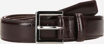 Ceinture Jack & Jones Plus en marron : devant