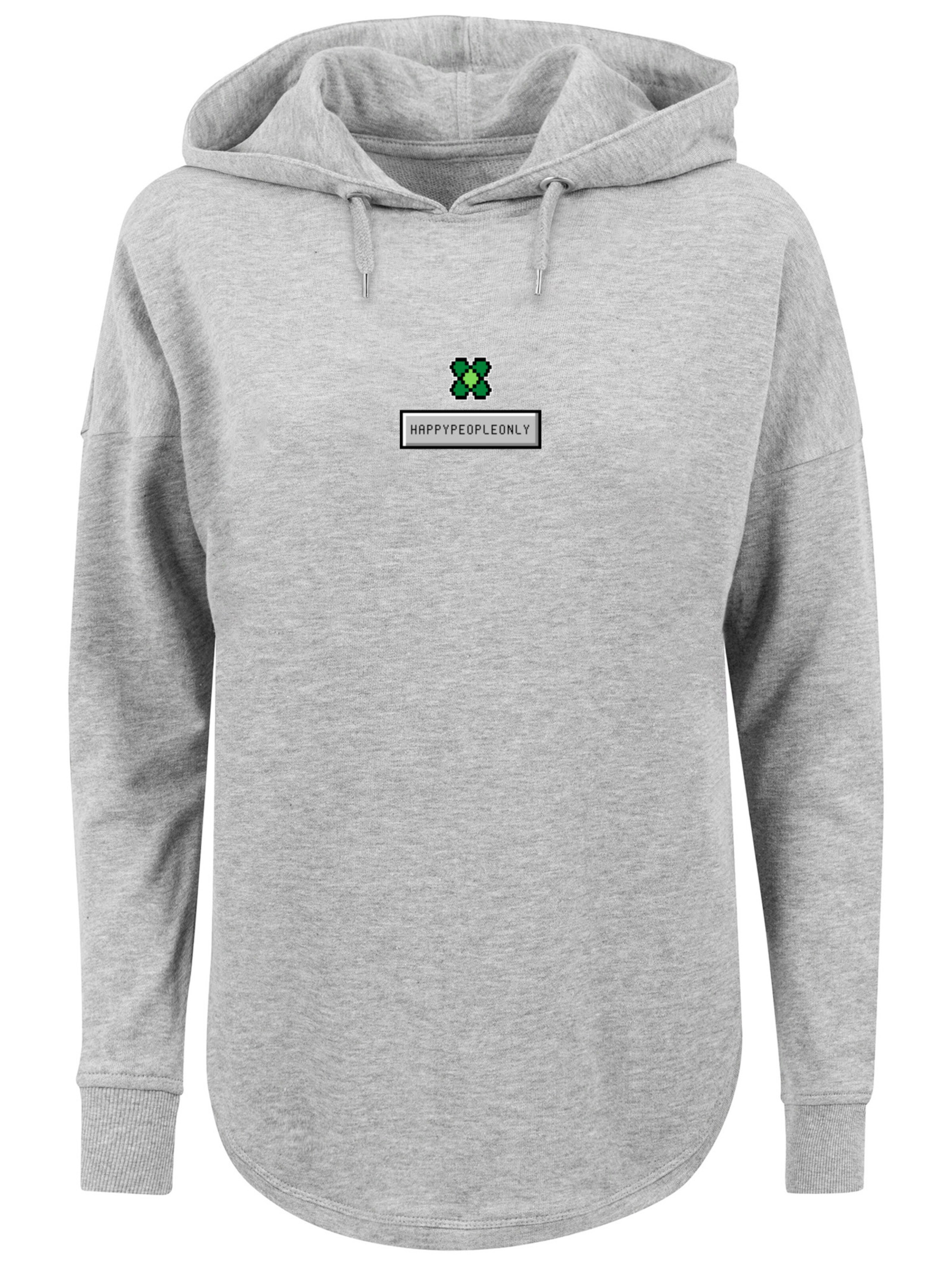 F4NT4STIC Sweatshirt in Grau: Vorderseite