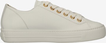 Paul Green Sneakers in White