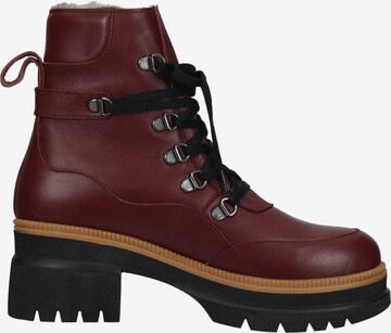 ILC Lace-Up Ankle Boots in Red