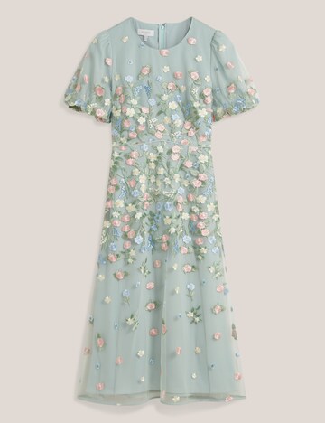 Hobbs London Kleid in Grün: Vorderseite