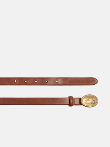The Bridge Belt in Brown