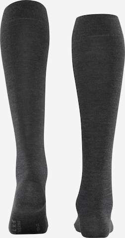 FALKE - Calcetines hasta la rodilla en gris