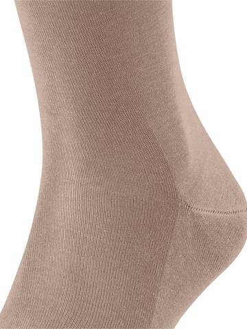 FALKE Knee High Socks 'Tiago' in Beige
