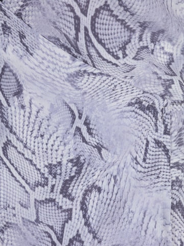 Dorothy Perkins Petite Bluza | vijolična barva