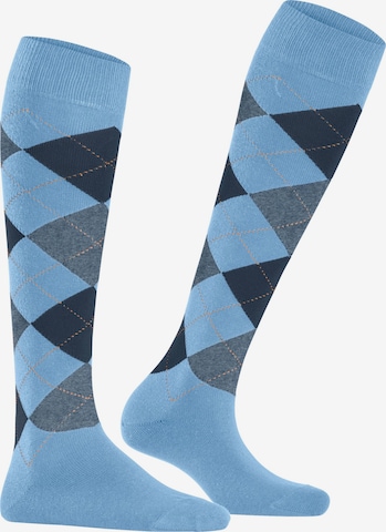 BURLINGTON Over the Knee Socks 'Queen' in Blue: front