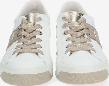 IGI&CO Sneakers laag in Wit