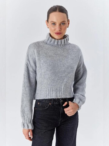 Pullover 'Pullover' di MixRay in grigio: frontale