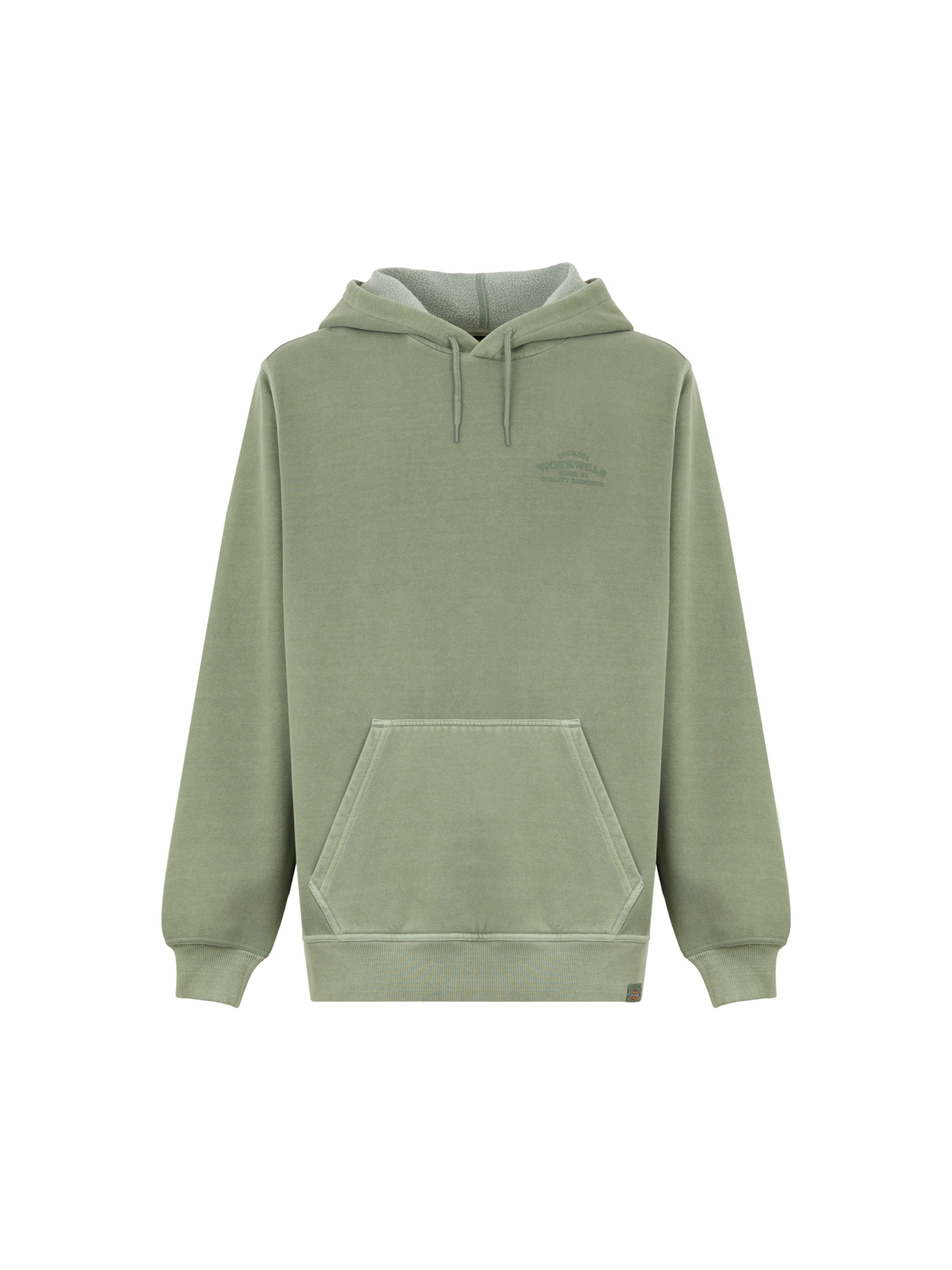 DICKIES Sweatshirt 'Christiana' in de kleur Pastelgroen, Productweergave
